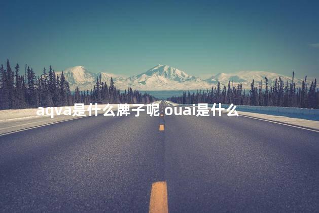 aqva是什么牌子呢 ouai是什么牌子